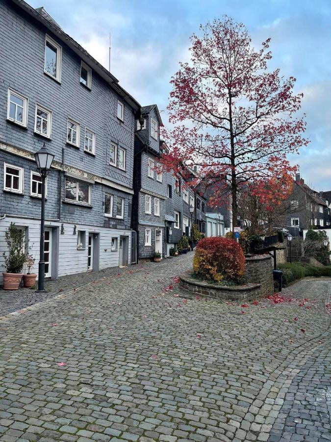 Wohnen In Malerischer Altstadt Siegen Kültér fotó